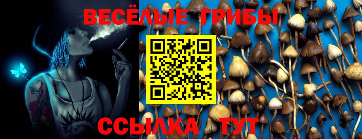 Псилоцибиновые грибы Cubensis  Галлюциногенные грибы мицелий  Вход с VPN  Кашира 